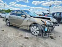 2009 Honda Accord фото