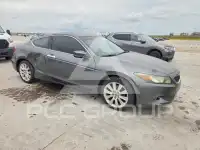 2009 Honda Accord фото