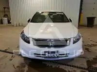 2009 Honda Accord фото