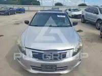 2009 Honda Accord фото