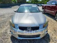 2009 Honda Accord photo