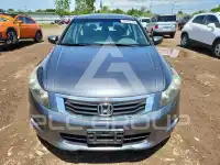 2009 Honda Accord фото