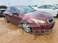 2009 Honda Accord фото
