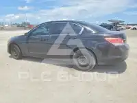 2009 Honda Accord фото