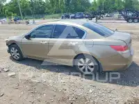 2009 Honda Accord фото