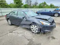 2009 Honda Accord фото