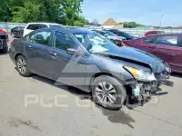 2009 Honda Accord фото