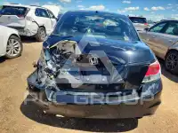 2009 Honda Accord фото