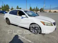 2009 Honda Accord фото