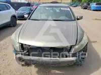 2009 Honda Accord фото