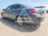 2009 Honda Accord фото