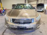 2009 Honda Accord фото