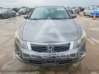 2009 Honda Accord фото