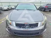 2009 Honda Accord фото