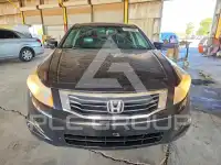 2009 Honda Accord фото