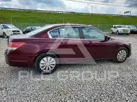 2009 Honda Accord фото