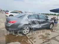2009 Honda Accord фото