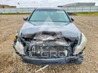 2009 Honda Accord photo