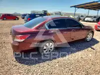 2009 Honda Accord фото