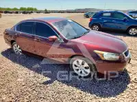 2009 Honda Accord фото