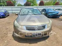 2009 Honda Accord photo