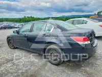2009 Honda Accord фото
