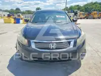 2009 Honda Accord фото