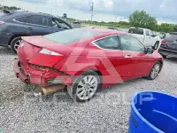 2009 Honda Accord photo