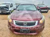 2009 Honda Accord фото