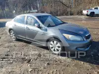 2009 Honda Accord фото