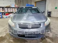2009 Honda Accord фото