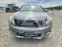 2009 Honda Accord фото