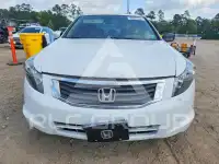 2009 Honda Accord фото