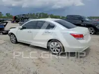 2009 Honda Accord photo