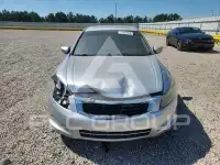 2009 Honda Accord фото