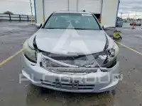 2009 Honda Accord photo