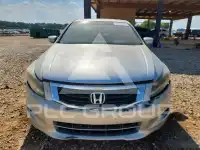 2009 Honda Accord фото