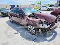 2009 Honda Accord фото