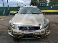 2009 Honda Accord фото