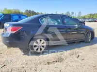 2009 Honda Accord фото