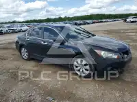 2009 Honda Accord фото