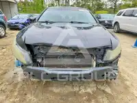 2009 Honda Accord photo