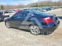 2009 Honda Accord фото