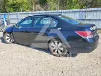 2009 Honda Accord фото