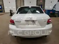2009 Honda Accord фото