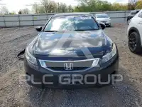 2009 Honda Accord фото
