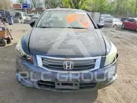 2009 Honda Accord фото