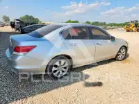 2009 Honda Accord фото