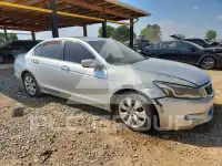2009 Honda Accord фото