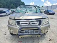 2009 Honda RIDGELINE фото